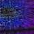 Technology Reduces Friction Across Daily Small Business Operations